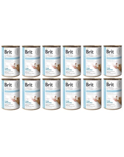 BRIT Veterinary Diet Obesity Lamb&Pea Fettleibigkeitsfutter für Hunde 12x400 g