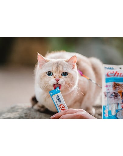 INABA Churu Cat Creme Katzenleckerli Thunfisch und Jakobsmuscheln 56 g