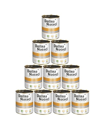 DOLINA NOTECI Premium reich an Ente mit Kürbis 10 x 800 g