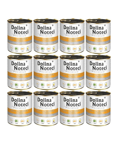 DOLINA NOTECI Premium reich an Ente mit Kürbis 12x800 g