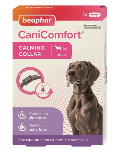 BEAPHAR CaniComfort Calmin Collar 65 cm Pheromonhalsband für Hunde