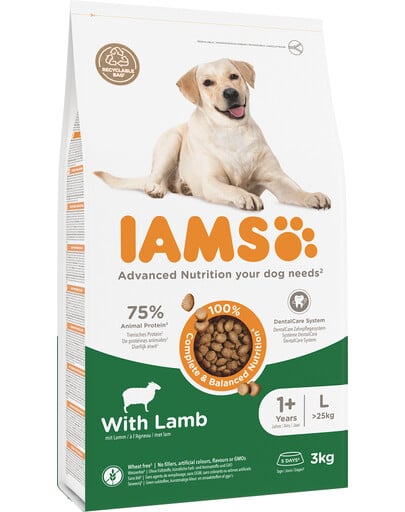 IAMS for Vitality für ausgewachsene Hunde großer Rassen mit Lamm 3 kg