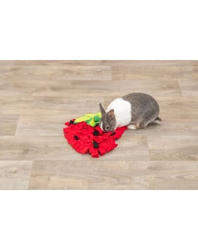 TRIXIE Riechmatte für Meerschweinchen und Kaninchen erdbeerrot 33 × 40 cm