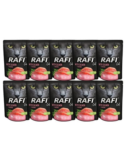 DOLINA NOTECI Rafi Cat Katzennassfutter mit Lachs 10x300 g