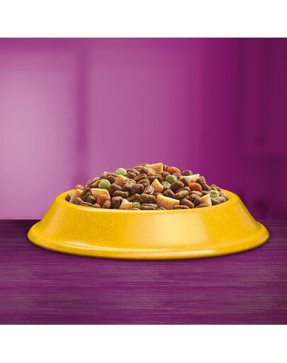 WHISKAS Adult 300 g sucha karma pełnoporcjowa z pysznym kurczakiem dla dorosłych kotów