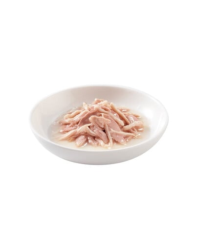 SCHESIR Thunfisch und Huhn in Brühe 70g