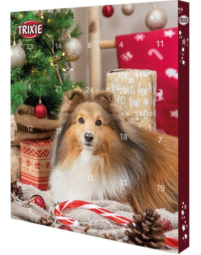 TRIXIE Adventskalender für Hunde