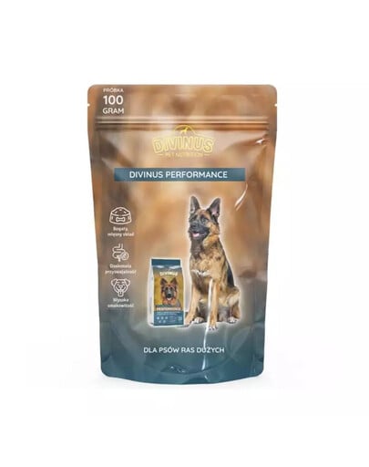 DIVINUS Performance für aktive Hunde 100 g