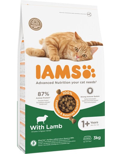 IAMS for Vitality Katzenfutter mit Lamm 3 kg