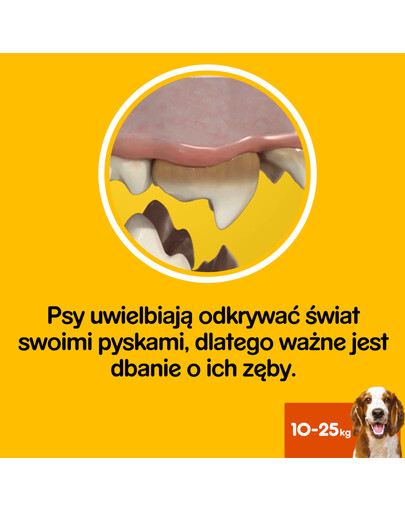 PEDIGREE Dentastix mittelgroße Rassen 56 St. ( 8 x170g )