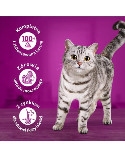 WHISKAS Adult 40x85g Poultry Flavours - Katzenfutter in Gelee (Huhn, Ente, Geflügel, Pute)