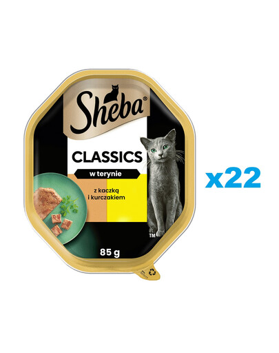 SHEBA Classics tacka 22x85 g mokra karma pełnoporcjowa dla dorosłych kotów z kaczką i kurczakiem w terynie