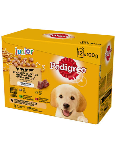 Pedigree Junior w galaretce 12x100g