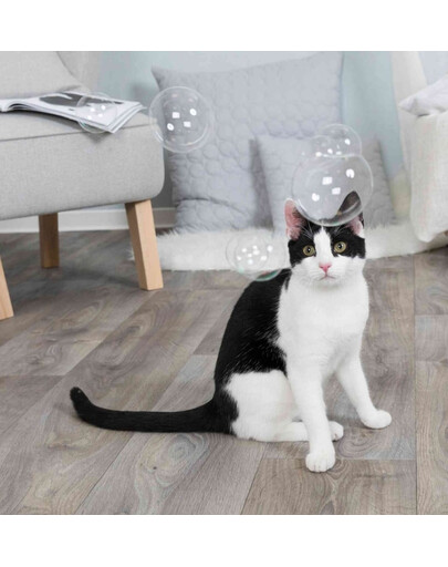 Bańki z kocimiętką 120 ml