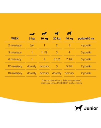 Puszka junior kura w galarecie 400 g
