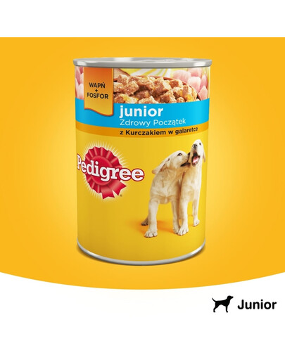Puszka junior kura w galarecie 400 g