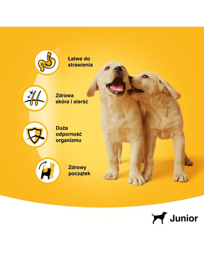 Puszka junior kura w galarecie 400 g