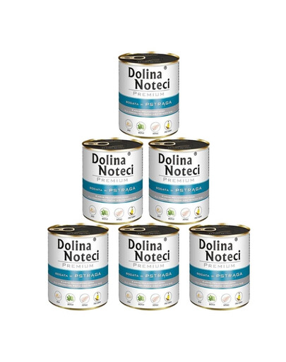 DOLINA NOTECI Premium Bogata W Pstrąga 6x800g
