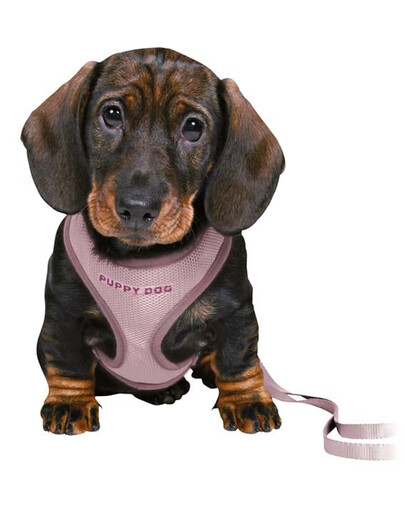 Junior Szelki dla szczeniąt ze smyczą 26–34 cm/10 mm, 2.00 m, liliowe