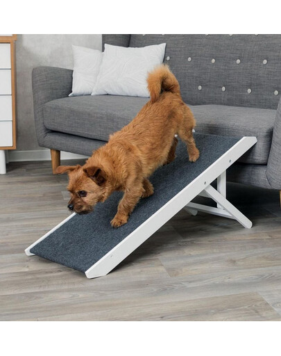 Rampa, z regulacją wysokości, 36 × 90 cm