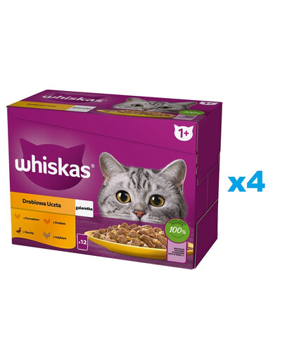 WHISKAS Adult saszetka 48x85g Drobiowa Uczta mokra karma dla dorosłych kotów w galaretce z: kurczakiem, kaczką, drobiem, indykiem
