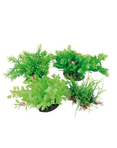 ZOLUX Belüfter als Dekoration Aeroplant 17cm 1 Stück