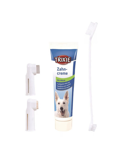 Zestaw do czyszczenia zębów