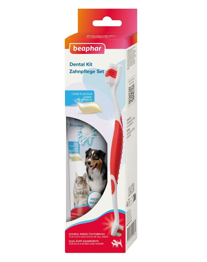 BEAPHAR Dental Kit Zahnbürste und Zahnpasta für Hunde und Katzen