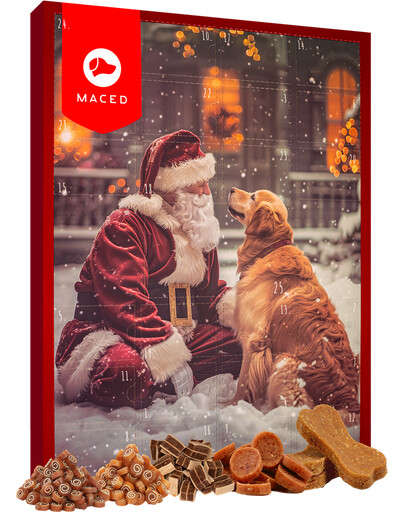 Kalendarz adwentowy dla psa