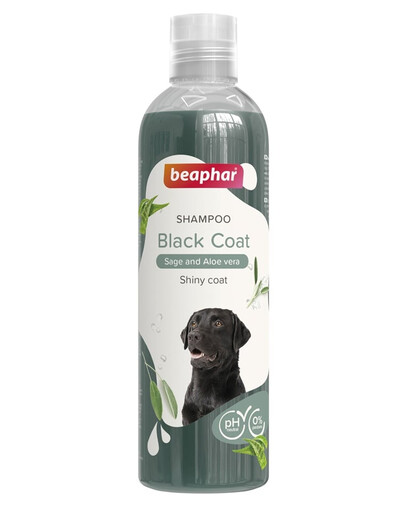 BEAPHAR Shampoo Black Coat Shampoo für schwarze und sehr dunkle Fell für Hunde 250 ml