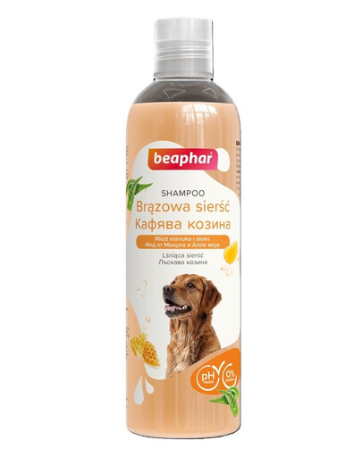 BEAPHAR Shampoo Brown Coat Shampoo für dunkles und schwarzes Fell von Hunden 250 ml