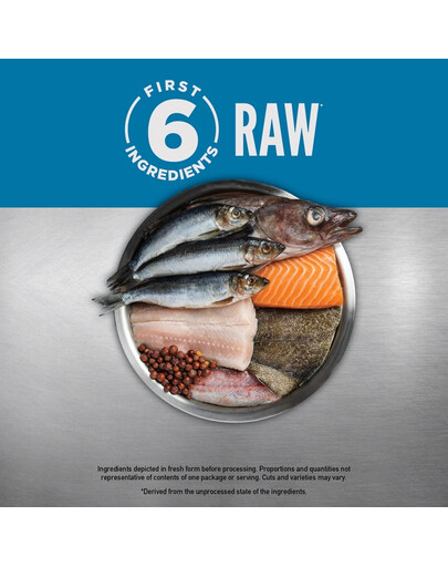 6 Fish Dog 6 kg