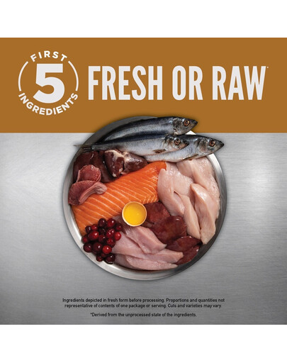 ORIJEN Original Cat 1,8 kg