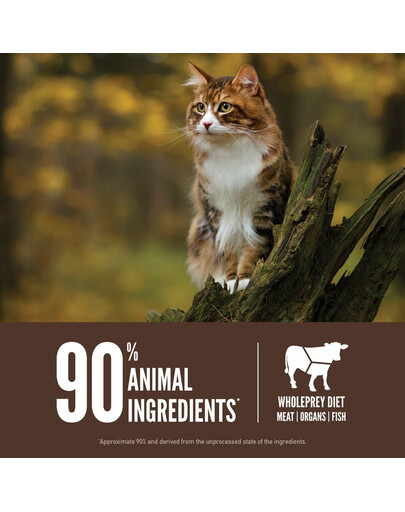 ORIJEN Regional Red Cat 340 g