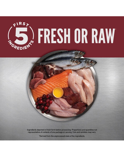 Small Breed Dog 4,5 kg