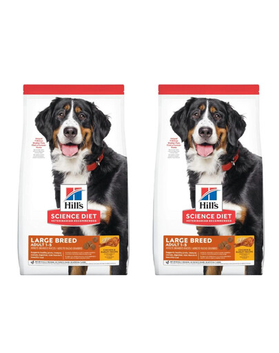 HILL'S Science Plan Adult Dog Large Dry Chicken Huhn, große Hunderassen 28 kg (2x14 kg)