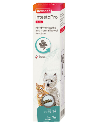 IntestoPro Paste zur Unterstützung der Stuhlverdichtung 20ml für Hunde (bis 15kg) und Katzen