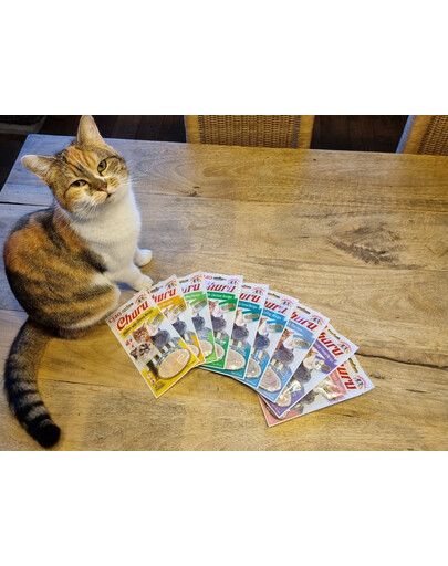 Churu Cat kremowy przysmak dla kota kurczak i krab 56 g