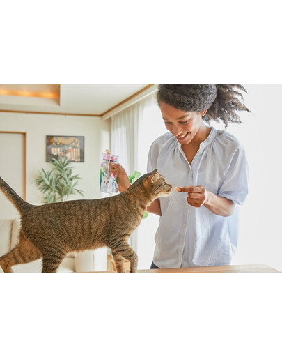 INABA CIAO Chicken fillet grilled Filet z kurczaka w bulionie z przegrzebków 25 g