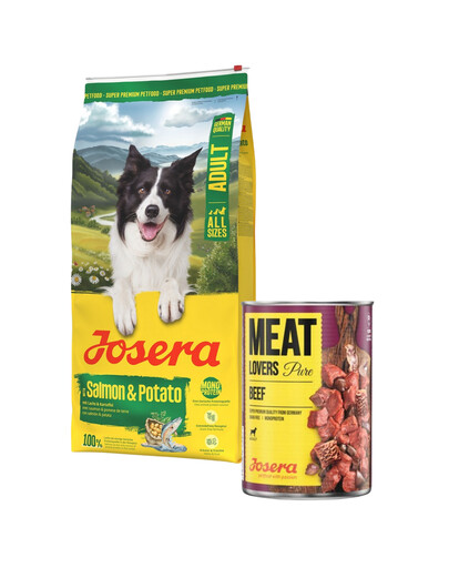 JOSERA Salmon and Potato Adult getreidefreies Futter für Hunde mit empfindlichem Magen 12,5 kg + 800g GRATIS