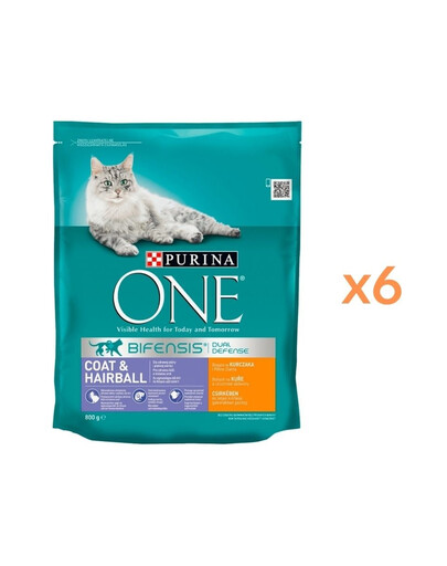 PURINA ONE COAT & HAIRBALL Trockenfutter mit Huhn und Vollkorn für adulte Katzen 6x800g