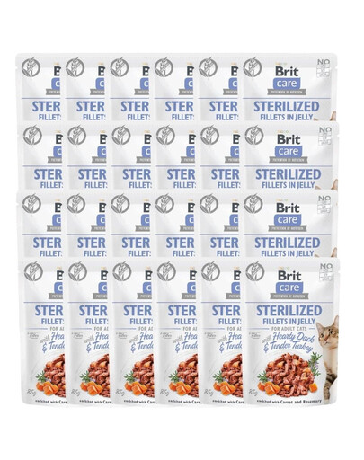 Care Sterilized Fillets in Jelly Duck&Turkey 24 x 85 g kaczka i indyk dla kotów po sterylizacji