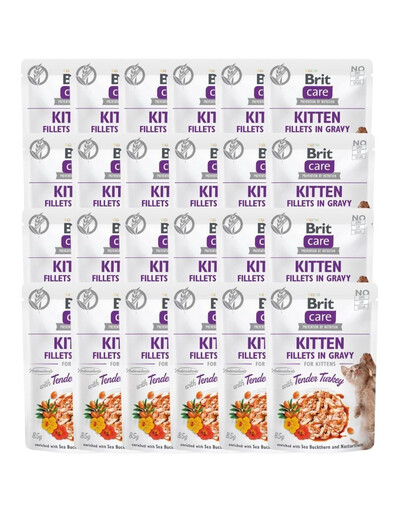 Care Fillets in gravy with tender turkey 24 x 85 g indyk w sosie