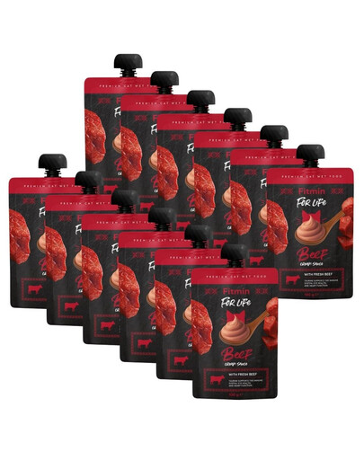 FITMIN For Life Cat Cream Sauce Beef 12x100g kremowe saszetki z wołowiną dla kotów