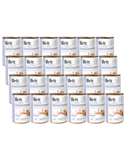 BRIT Veterinary Diet Gastrointestinal Nassfutter mit Lachs für Hunde mit Verdauungsproblemen 24x400 g