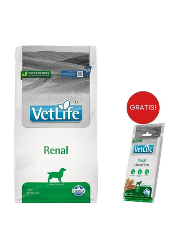 FARMINA Vet Life Renal Dog 2 kg + Dental Treat Renal Medium/Maxi 100 g GRATIS!