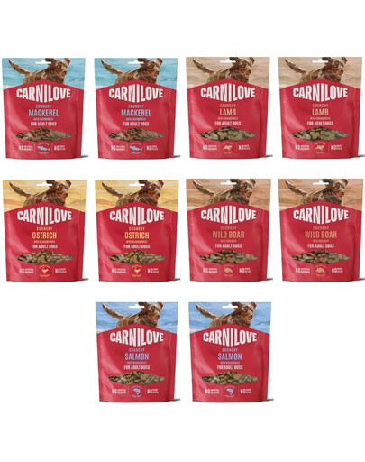 CARNILOVE Crunchy Snack Mix 5 Geschmacks für adulte Hunde knusprig getreidefrei 10x200g