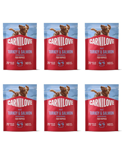 CARNILOVE Nassfutter Pastete mit Pute und Lachs für Welpen getreidefrei 6x300g