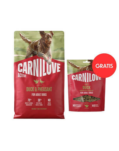 CARNILOVE Active Trockenfutter Ente und Fasan für adulte Hunde getreidefrei 4 kg + Soft Snack Duck 200g