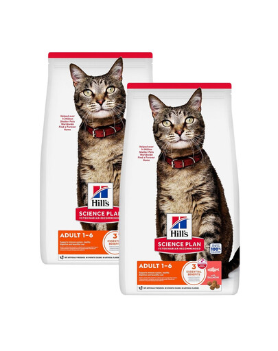 HILL'S Science Plan Feline Adult Salmon 2x10 kg sucha karma z łososiem dla dorosłych kotów